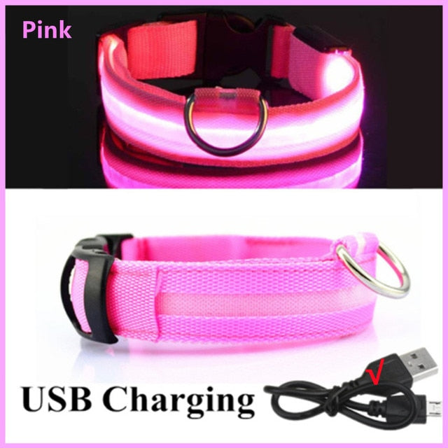 Glowing Led Light Up Dog Collar