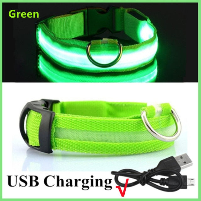 Glowing Led Light Up Dog Collar