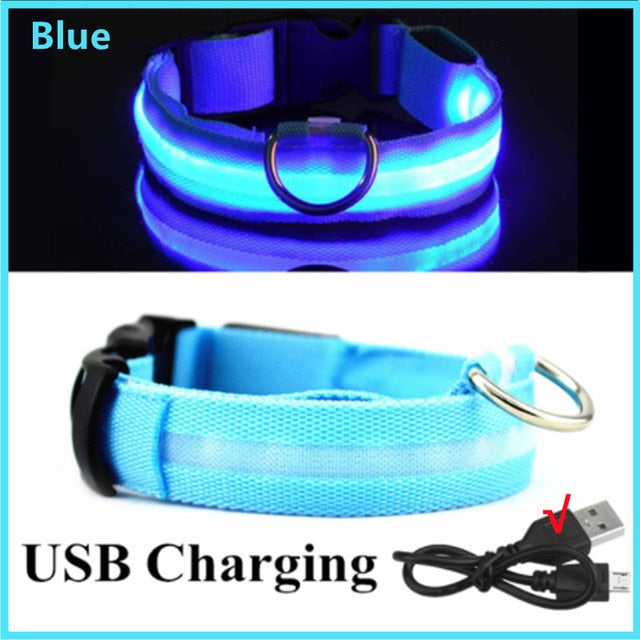 Glowing Led Light Up Dog Collar