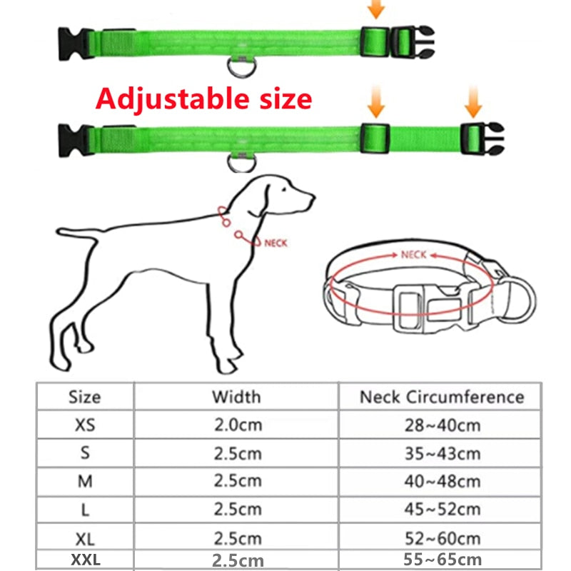 Glowing Led Light Up Dog Collar