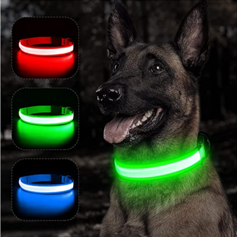 Glowing Led Light Up Dog Collar