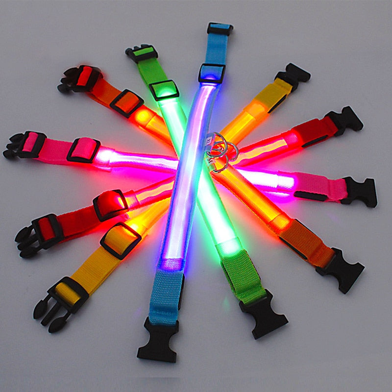 Glowing Led Light Up Dog Collar