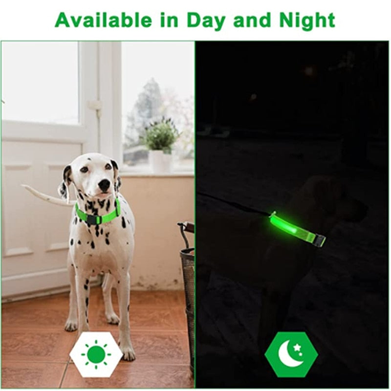 Glowing Led Light Up Dog Collar