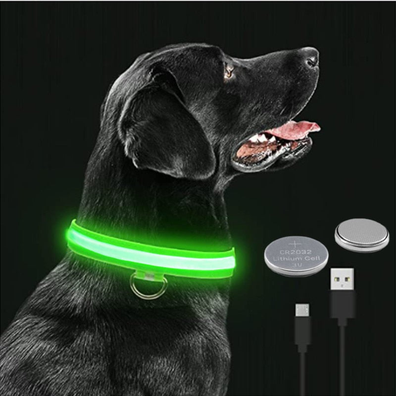 Glowing Led Light Up Dog Collar